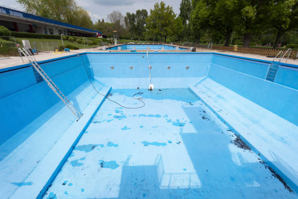 Best Flood damage cleanup  in Pueblo West, CO