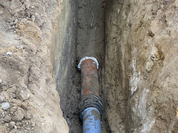 Best Flood damage cleanup  in Pueblo West, CO