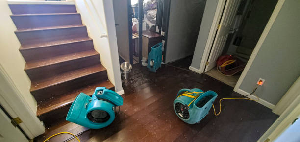 Best Water damage contractors near me  in Pueblo West, CO