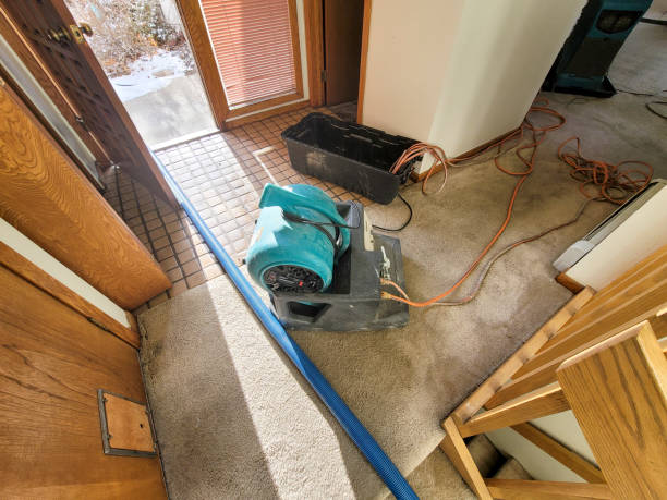 Best Flooded house restoration  in Pueblo West, CO