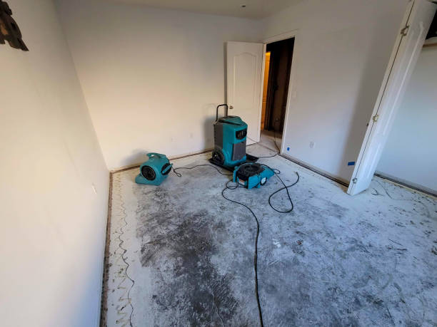 24/7 water damage repair in Pueblo West, CO