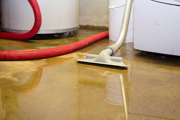 Best Ceiling water damage repair  in Pueblo West, CO