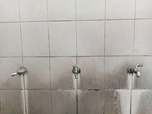 Best Water damage cleanup near me  in Pueblo West, CO