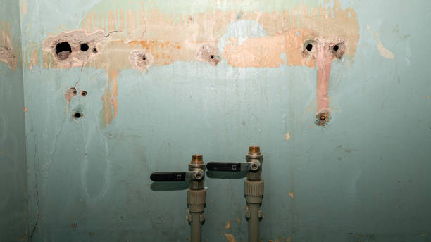 Best Basement water damage restoration  in Pueblo West, CO
