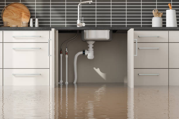 Best Water damage cleanup near me  in Pueblo West, CO