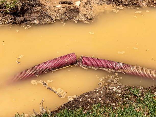 Best Sewage cleanup and water damage restoration  in Pueblo West, CO