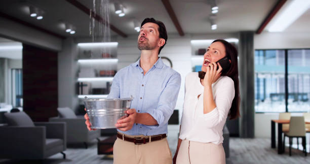 Best Professional water damage repair  in Pueblo West, CO